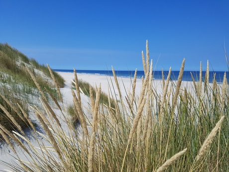 Amelands prachtige duinlandschap