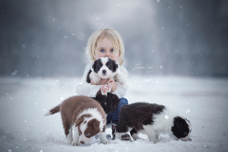winter puppylove