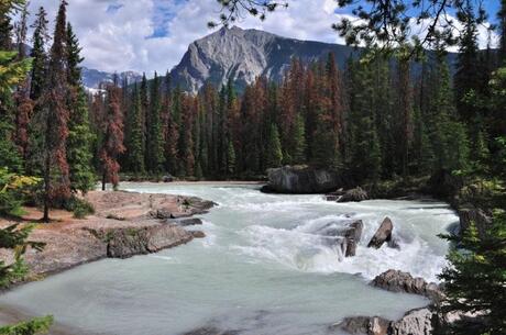 Yoho N.P. Canada