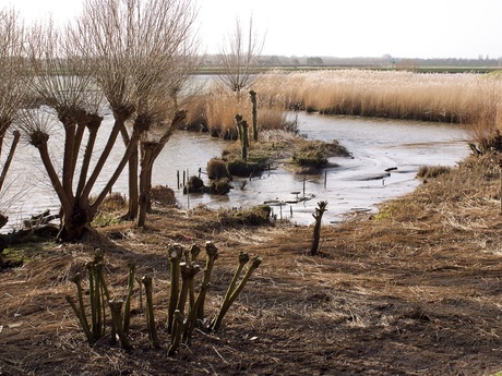 Langs de Noord