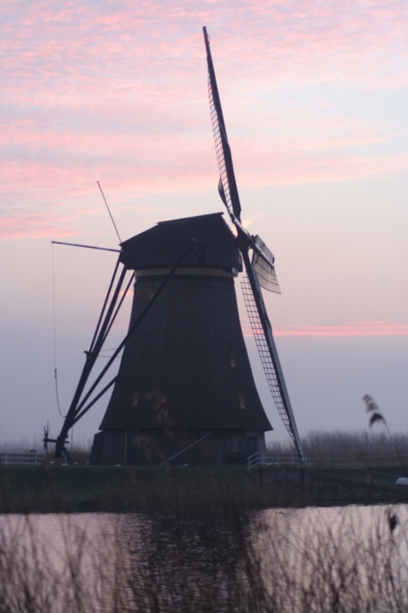 molen 1