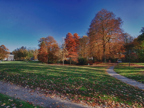 Herfst in het park