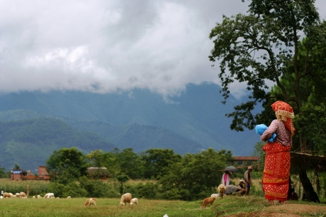 Nepal