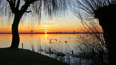 Een natuurlijke omlijsting