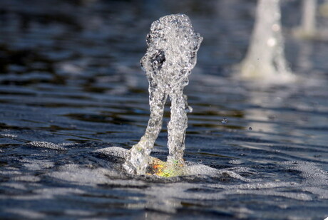 Lopen op het water