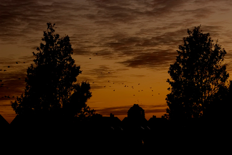 Sunset Hellevoetsluis