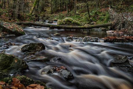 la hoegne, belgie, ardennen