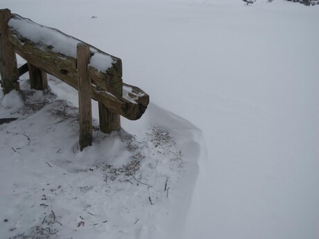 Winterse Mookerheide