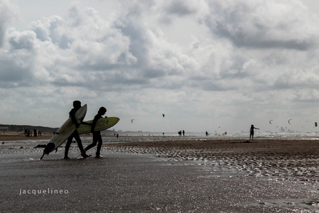 Surfen op zee