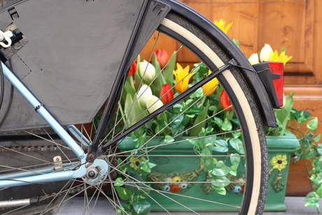 fiets met bloemen