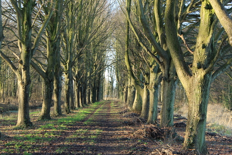 2e kerstdag wandeling.