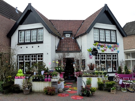 Vrolijke Bloemenwinkel in Wierden