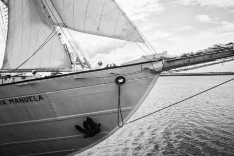 Tall ship race Esbjerg