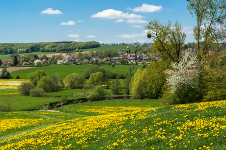 Lente in het Heuvelland