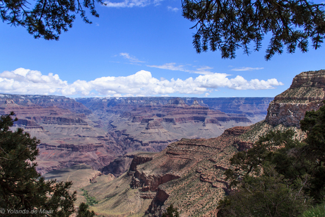 Adembenemend uitzicht Grand Canyon