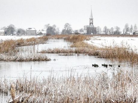 Hommerts in de winter 2017