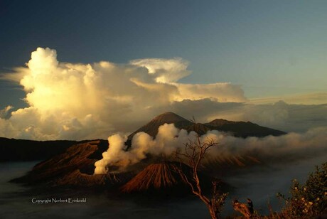 Zonsopkomst Bromo vulkaan