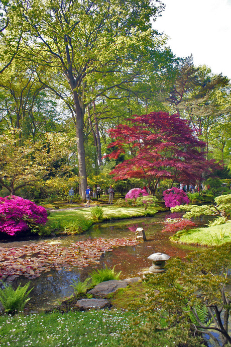 Japanse tuin Clingendael Wassenaar