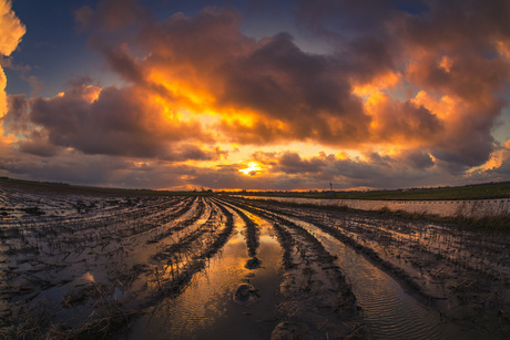 Wetlands Akersloot