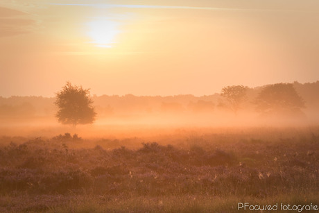 Zonsopgang boven Regte Heide