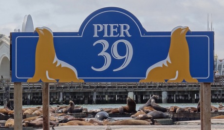 Pier 39, een levend Landmark van San Francisco