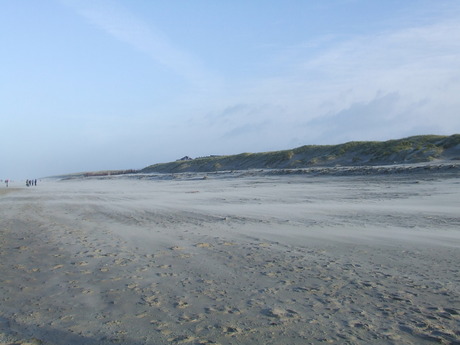 Texel