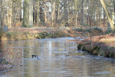 liesbos bij breda