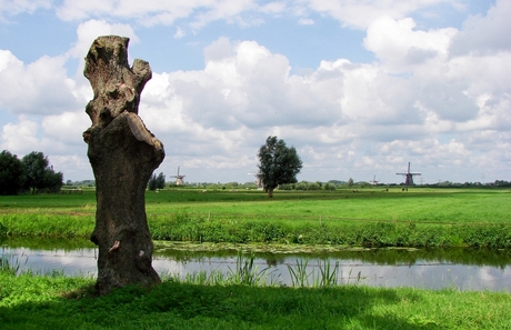 Eenzame wachter aan het water.