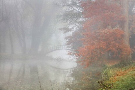 mist rivierenhof (1 van 1)-5.jpg