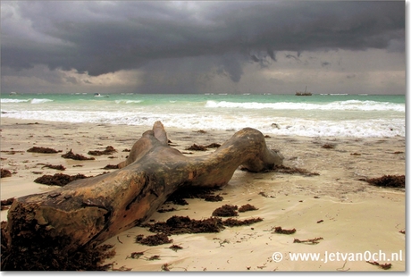 Stormy beach