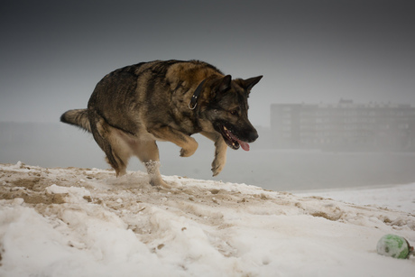 Sneeuw, mist, en kou!