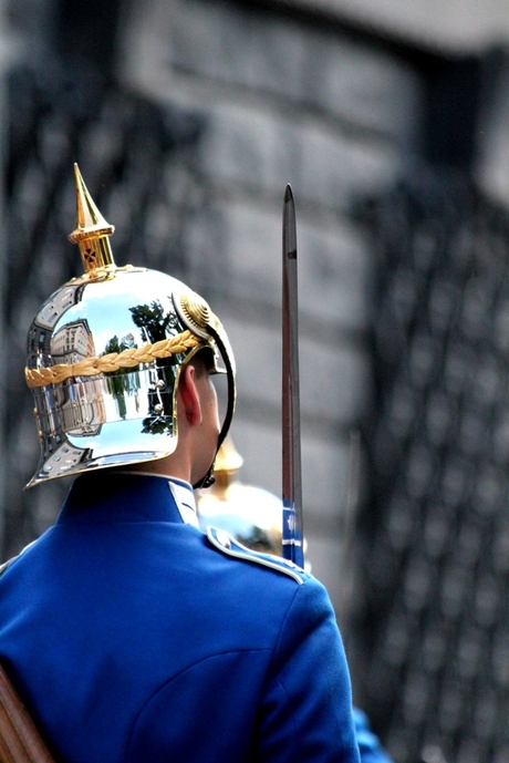 Swedish Royal guard