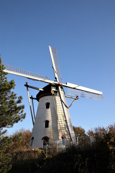 Molen Schaik