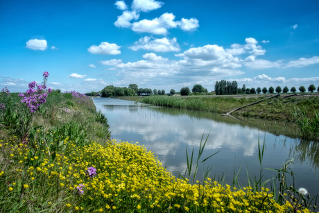 Landschap op Tholen