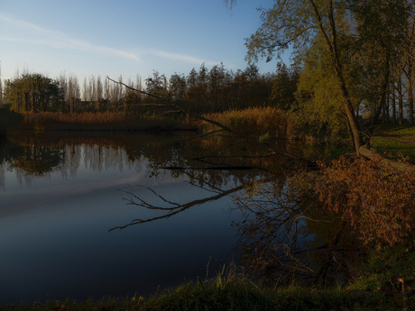 Water in het park