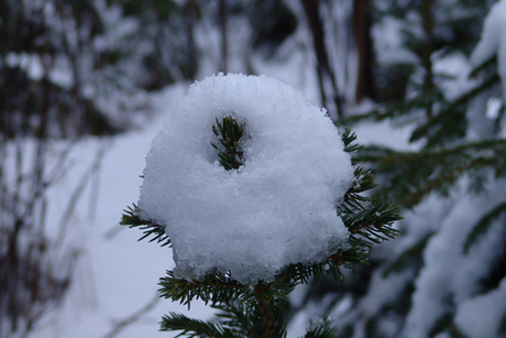 Toefje sneeuw