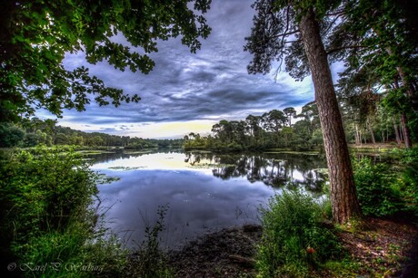 Oisterwijkse Vennen (HDR)