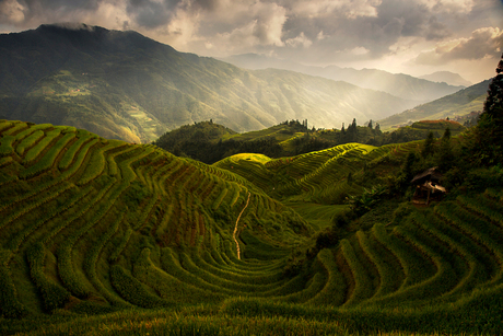 Toscane in China