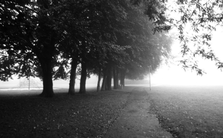 Mist in het park