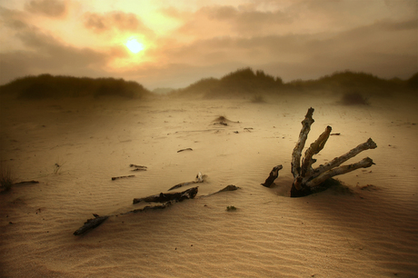 Duinlandschap