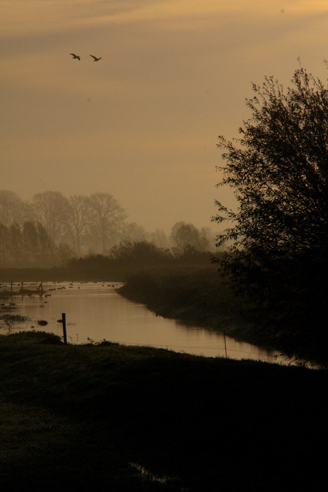 Herfstige ochtend langs de IJssel