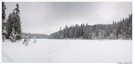 Der Arbersee