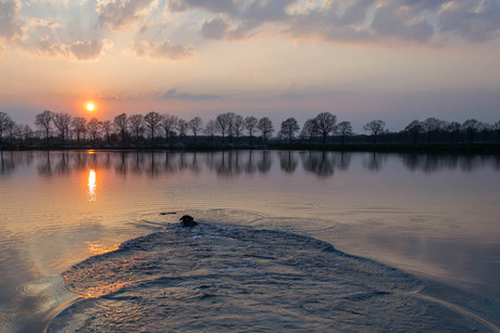 Zwemmen bij zonsondergang