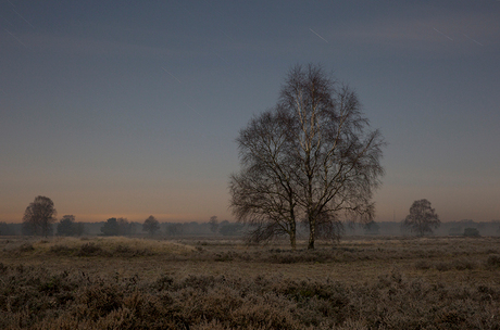 strange winternight sky