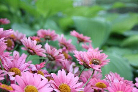 zomer kleuren