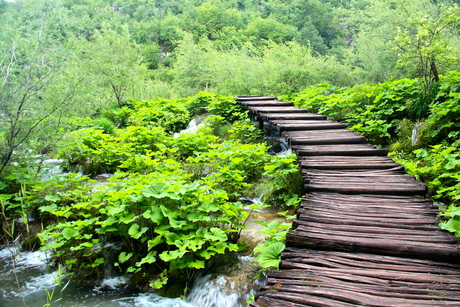 PLITVICE