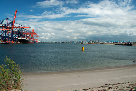 Maasvlakte