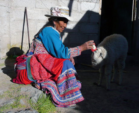 Een vrouw in Peru voedt een jonge lama