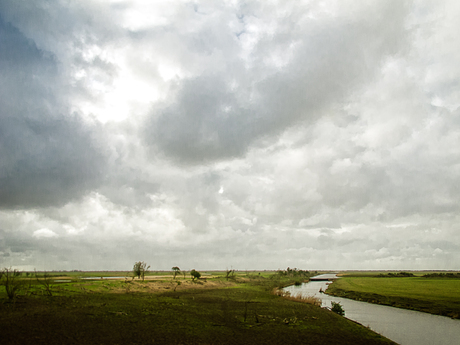 Oostvaardersplassen