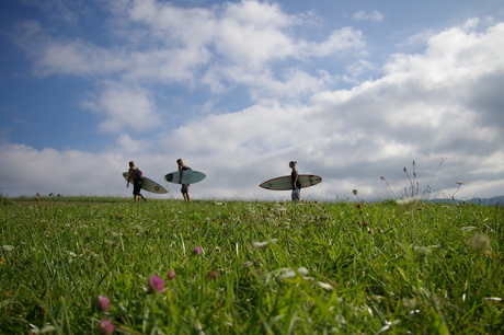 surfing